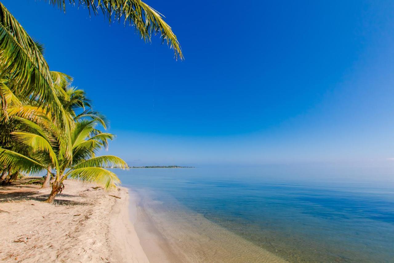 Апартаменти Khalkob'S Estate Placencia Екстер'єр фото