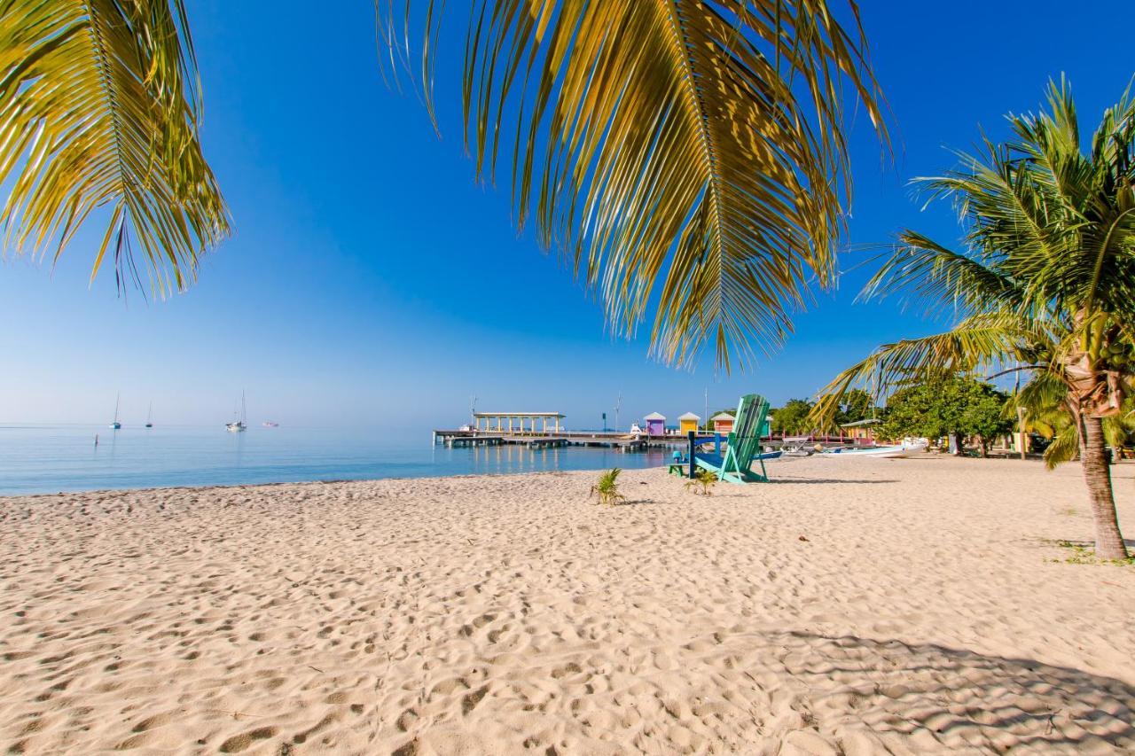 Апартаменти Khalkob'S Estate Placencia Екстер'єр фото